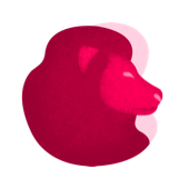 Signo de Leão